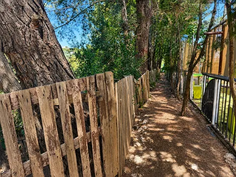 Vialetto pedonale nel bosco di pini, coperto da un tappeto di aghi: a sinistra una staccionata di doghe grezze e il tronco di un grande pino, a destra una recinzione metallica lungo il fabbricato.