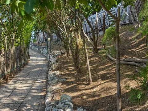 Vialetto pedonale lastricato che attraversa il bosco, bordato da un cordolo di pietre e da una fila di alberelli; sulla sinistra una recinzione bassa e un lampione sferico.