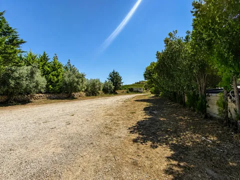 Strada di accesso in terra battuta chiara che sale verso il fondo, fiancheggiata a sinistra da ulivi e cipressi oltre un muretto a secco e a destra da una siepe alta.